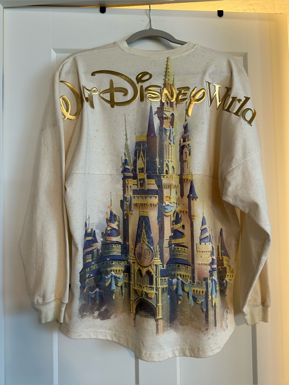 Walt Disney World Spirit Jersey